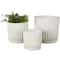 White Ribbed Textured Ceramic Planter Set